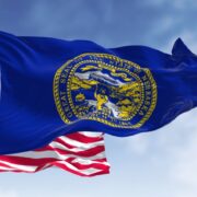 Registration of Data Controllers and Data Processors of Major Importance