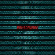 South African Government Tendering Site Allegedly Suffers Data Breach