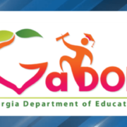 Georgia’s Education Ministry responds to opposition’s claims on data Protection officers in schools