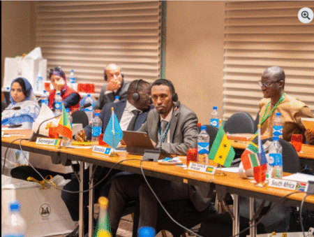 Somalia officially joins African Data Protection Association