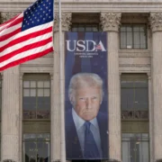 Privacy and hunger groups sue over USDA attempt to collect personal data of SNAP recipients