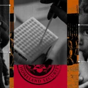 US storing DNA from migrant children in criminal database